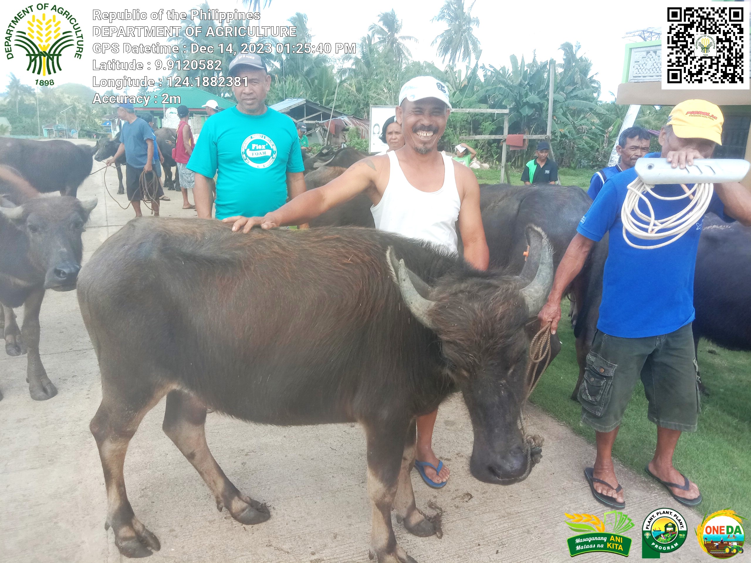 SAAD Central Visayas distributes carabaos to Bohol farmers to increase farm productivity