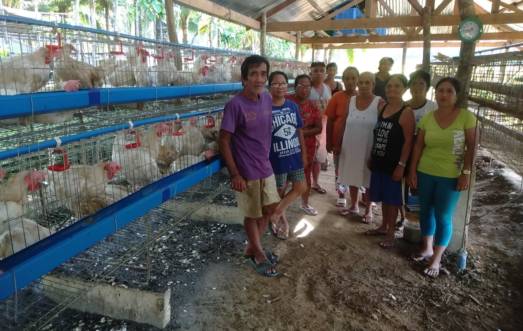 Eggs-panding business: Samar FA buys land, more RTL chickens for poultry project expansion
