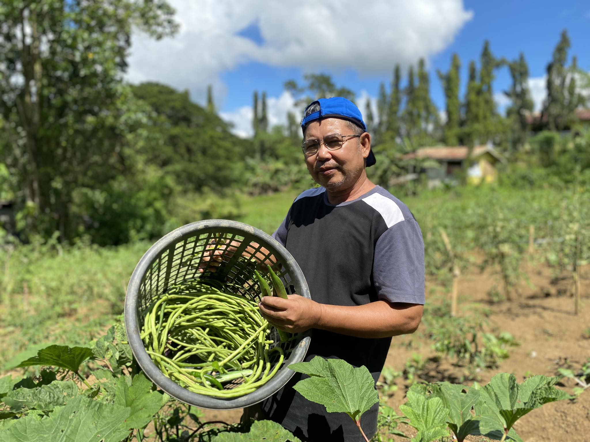 Small farmers taking big steps: Bingawan vegetable vendors earn Php 36K