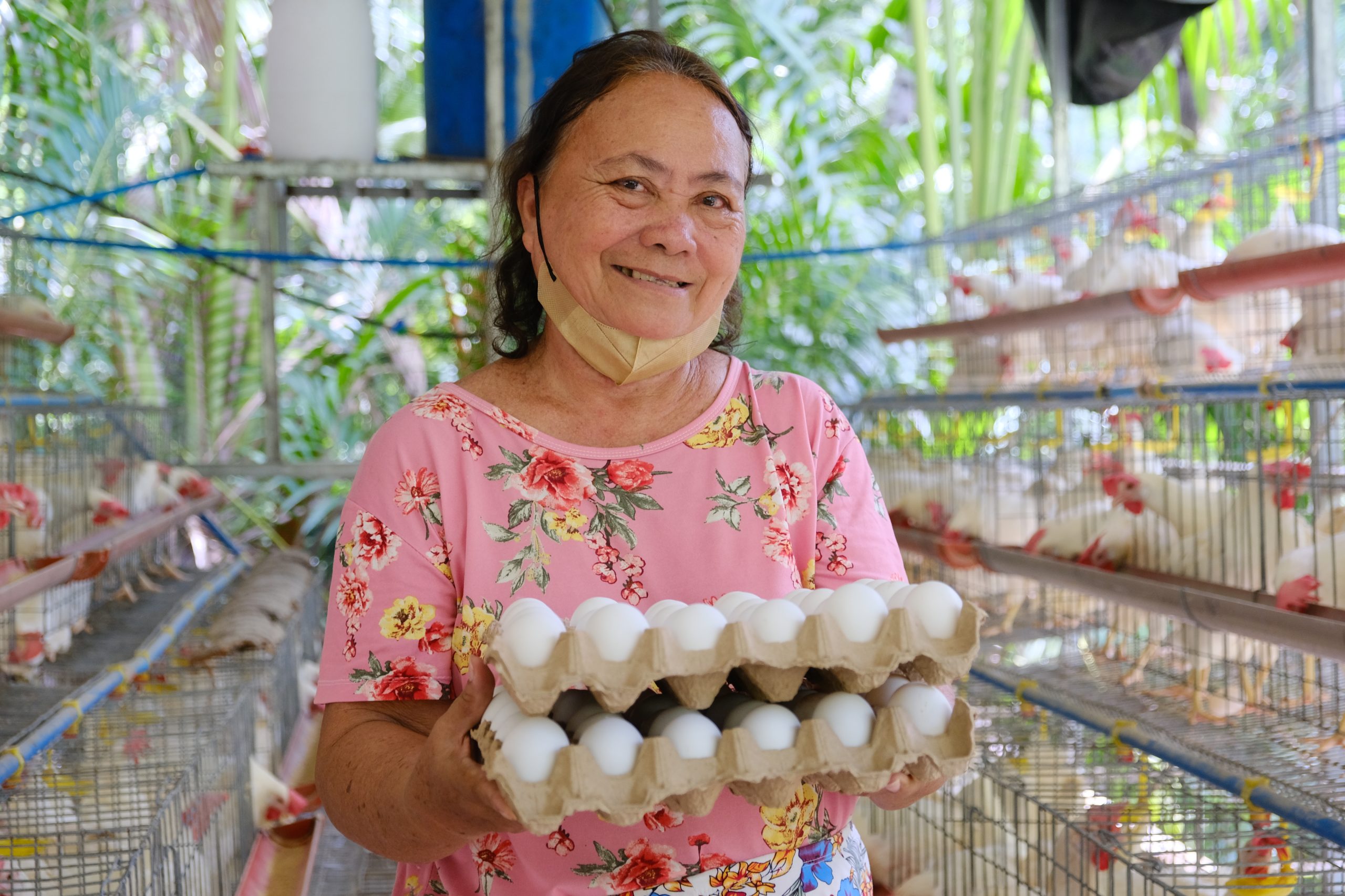 Sarangani Island FA earns 140k from SAAD’s chicken project, provides employment to locals