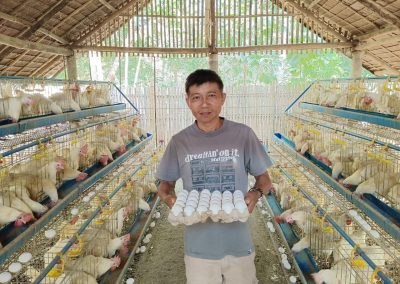 MIMAROPA FAs start earning from DA-SAAD’s poultry production projects